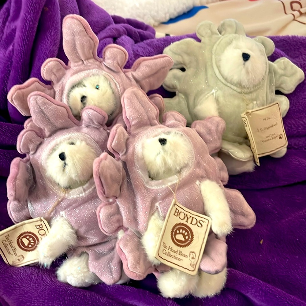 Boyd’s Bear